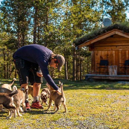 Jotunheimen Husky Lodge Randsverk Exterior photo