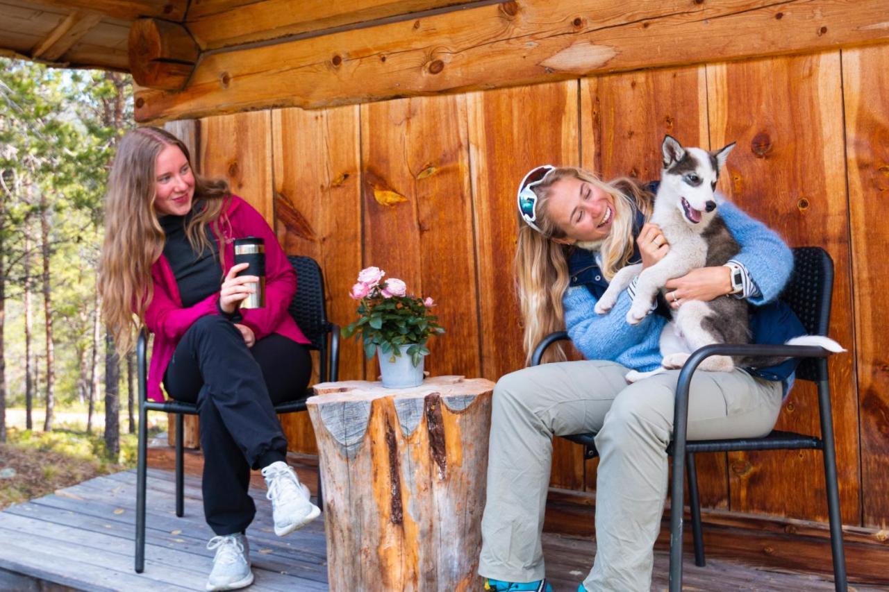 Jotunheimen Husky Lodge Randsverk Exterior photo