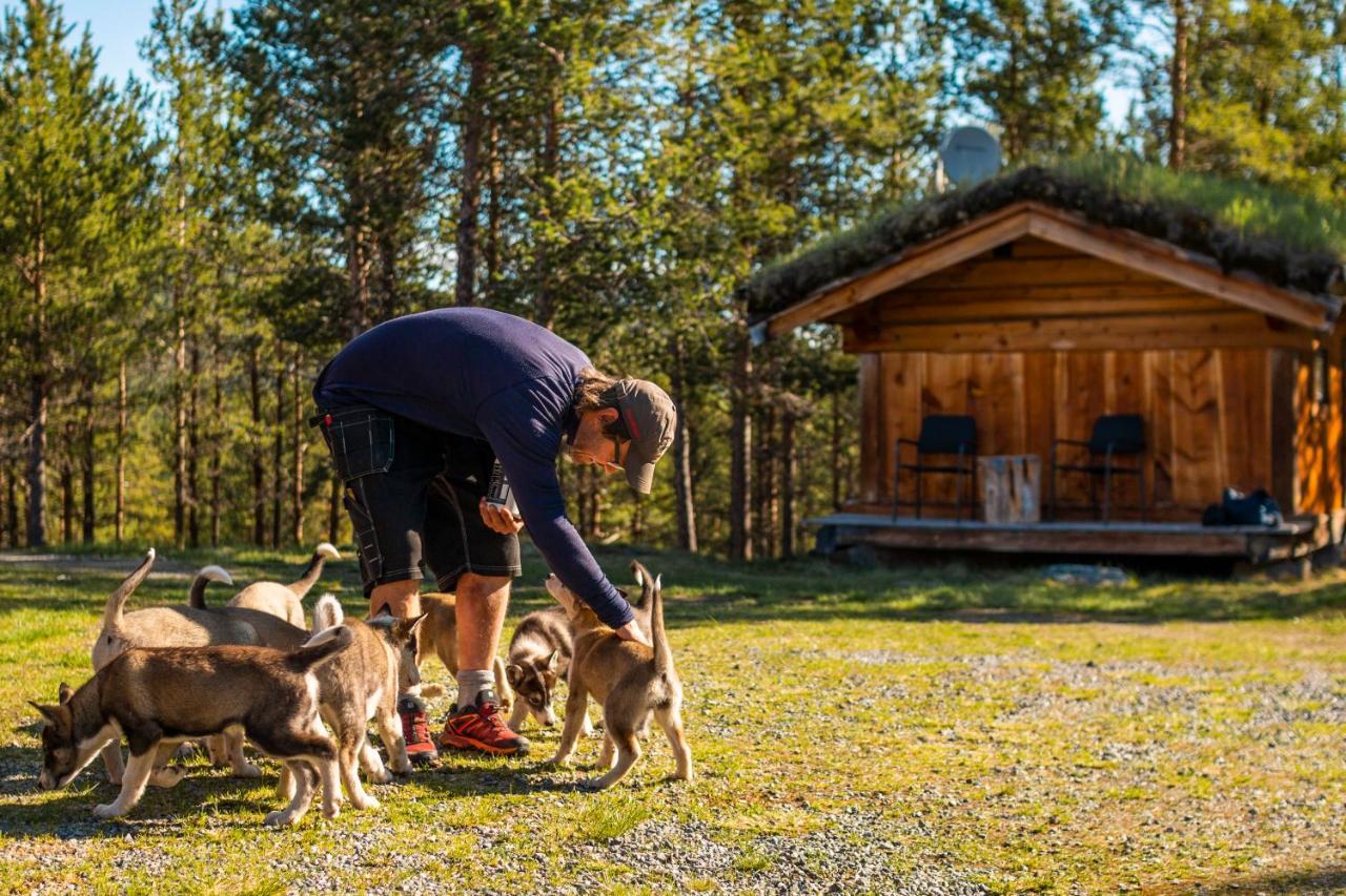 Jotunheimen Husky Lodge Randsverk Exterior photo