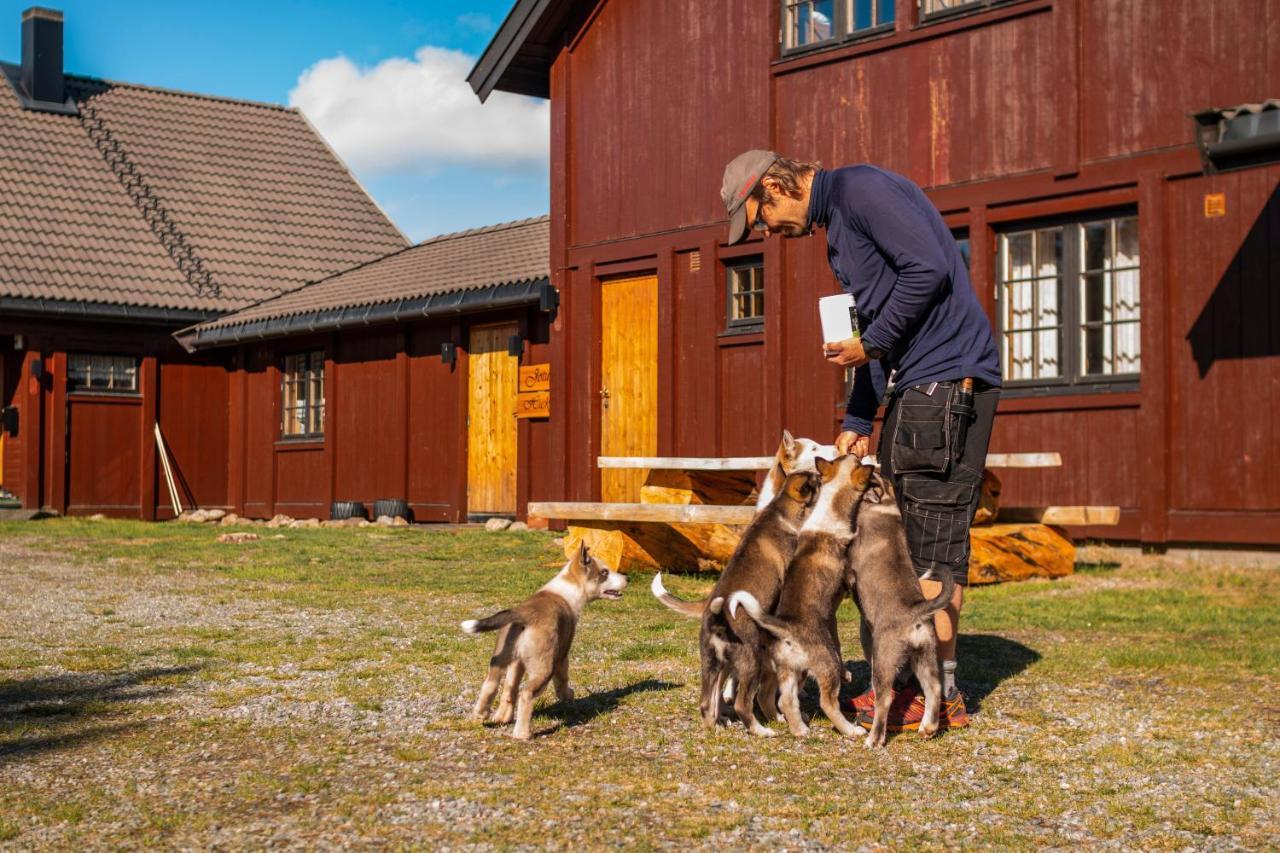 Jotunheimen Husky Lodge Randsverk Exterior photo