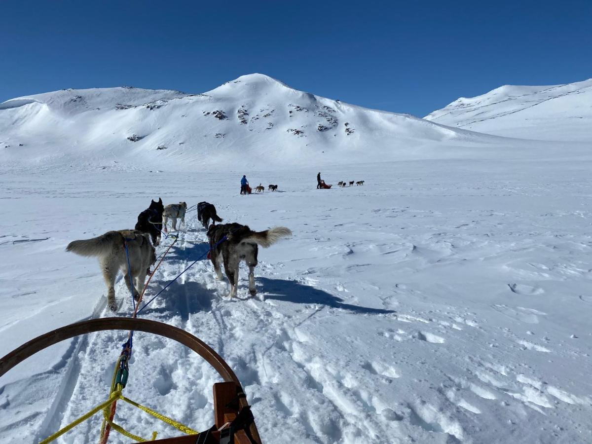 Jotunheimen Husky Lodge Randsverk Exterior photo