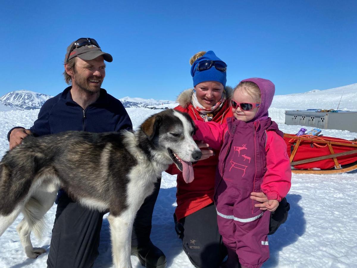 Jotunheimen Husky Lodge Randsverk Exterior photo